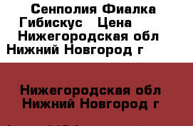 Сенполия Фиалка Гибискус › Цена ­ 50 - Нижегородская обл., Нижний Новгород г.  »    . Нижегородская обл.,Нижний Новгород г.